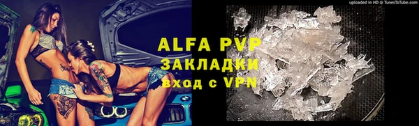 сатива Арсеньев