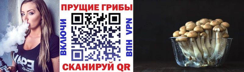 ОМГ ОМГ зеркало  Белинский  Псилоцибиновые грибы мицелий  дарнет шоп 